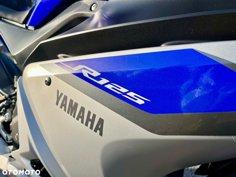 Yamaha YZF - 13
