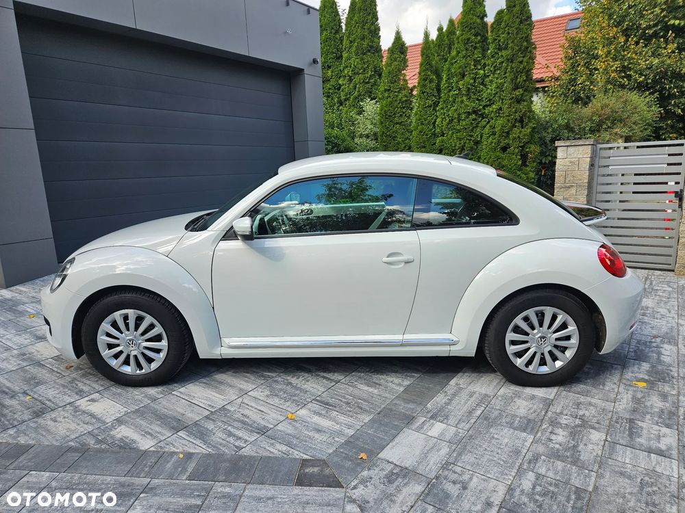 Volkswagen Beetle - 5