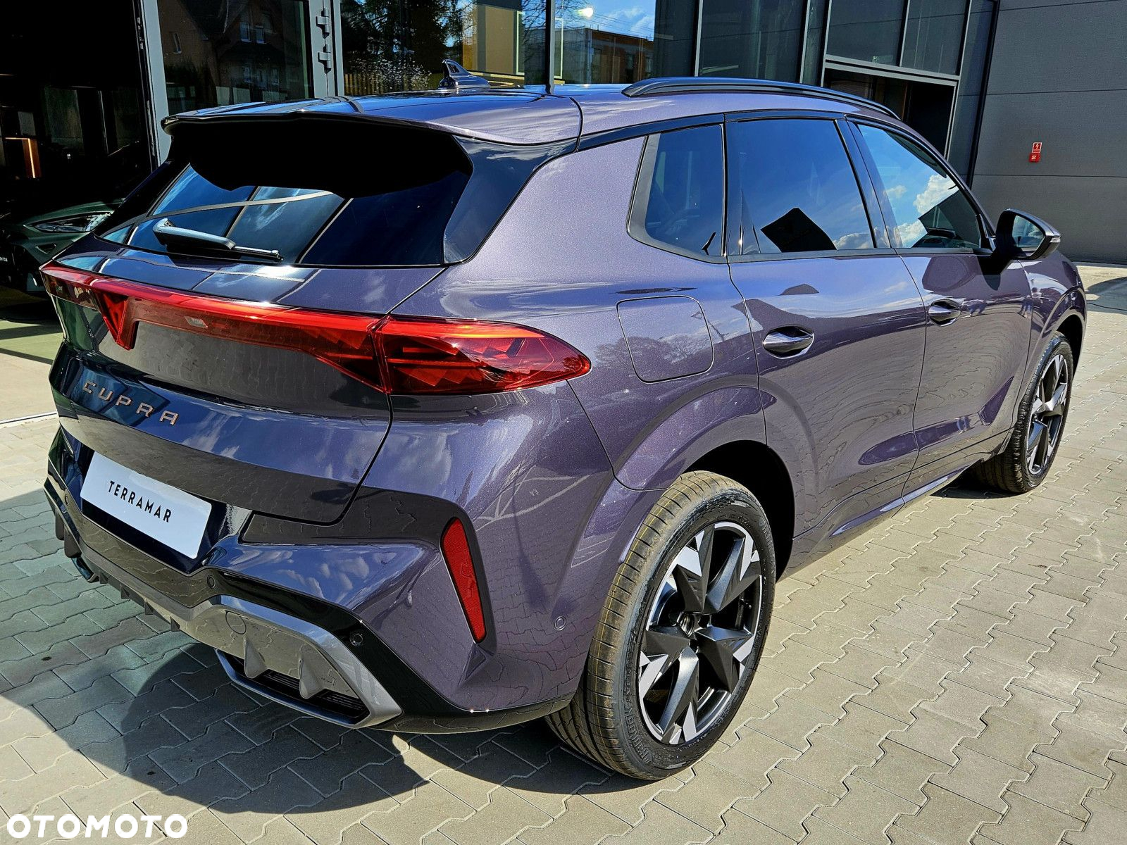 Cupra Terramar - 3