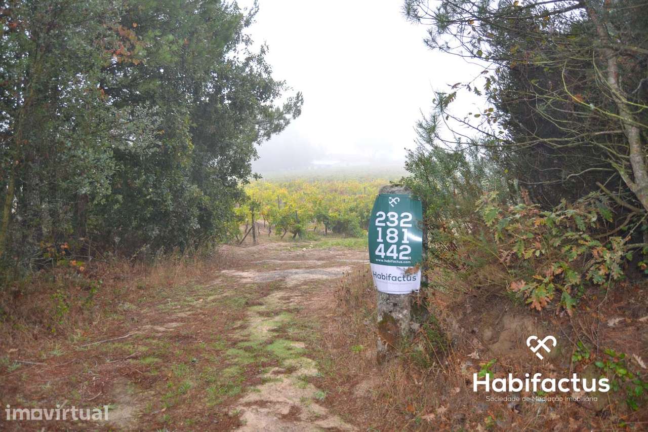 Terreno com 2012 m2 em Carvalhal Redondo. - Grande imagem: 2/5