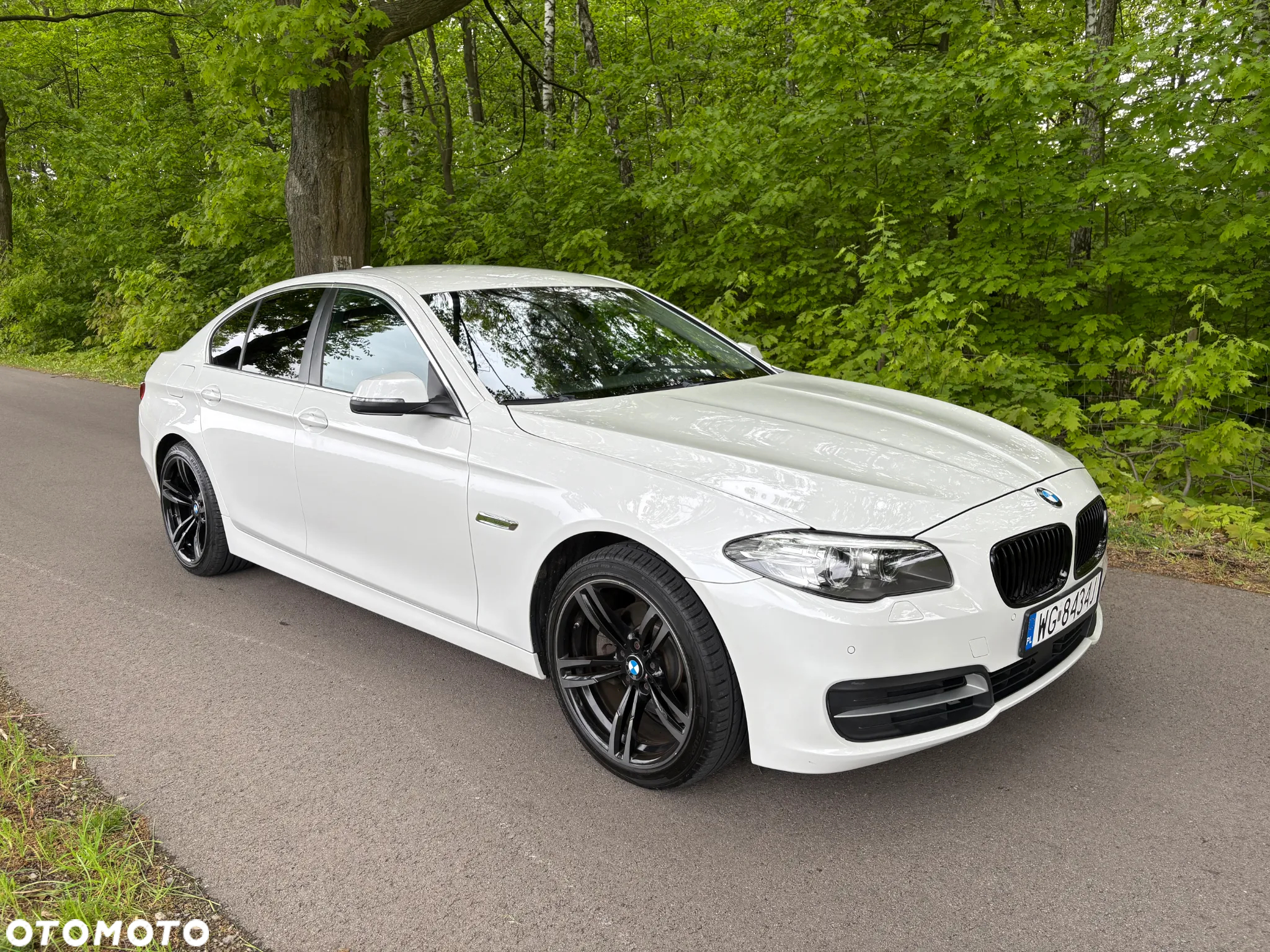 BMW Seria 5 520d - 36