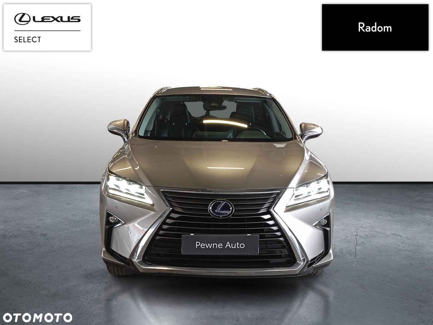 Lexus RX 450h Prestige MY19 - 2