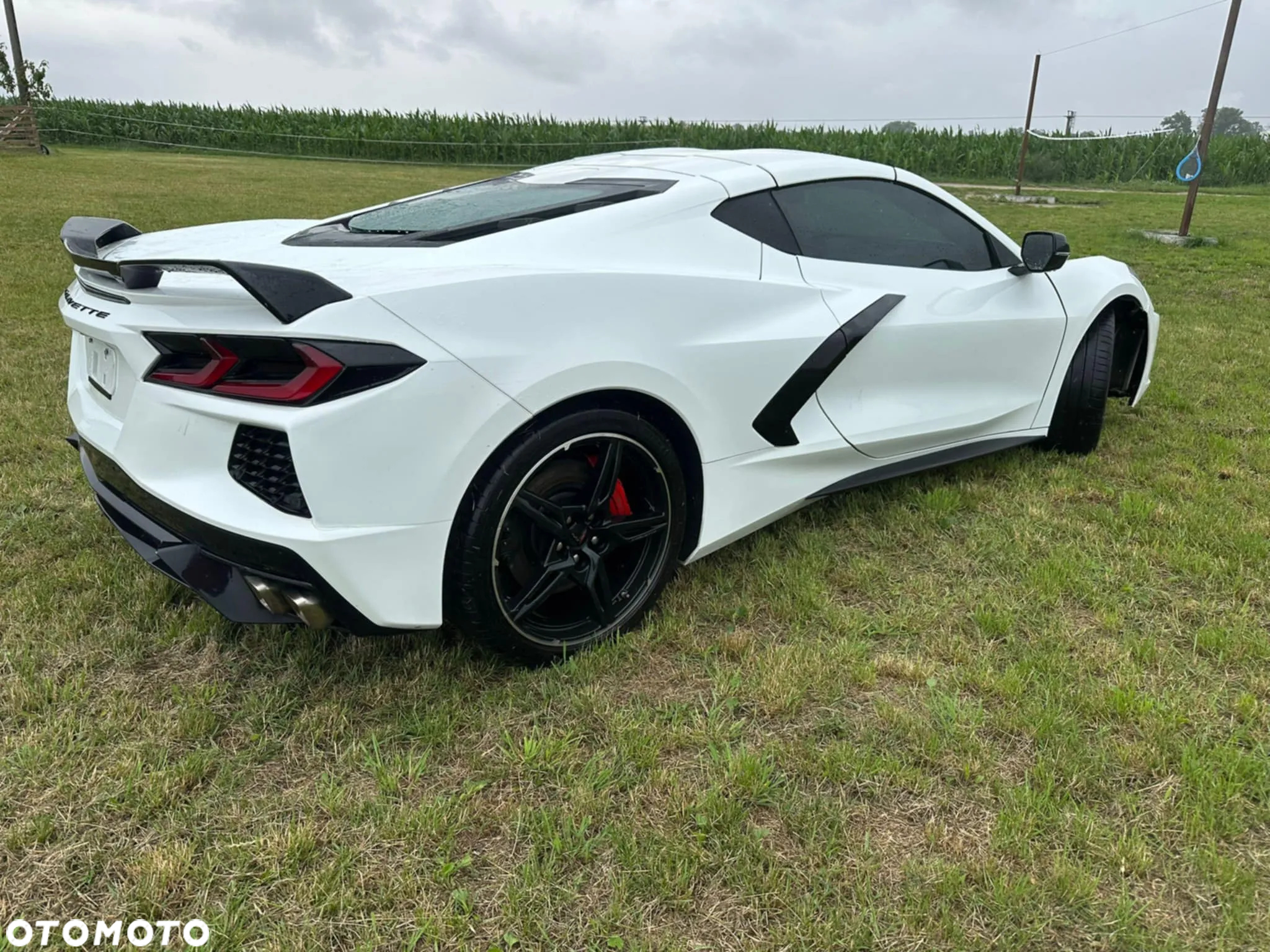 Chevrolet Corvette - 23