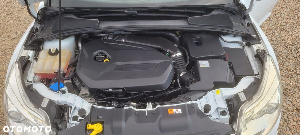 Ford Focus - 15