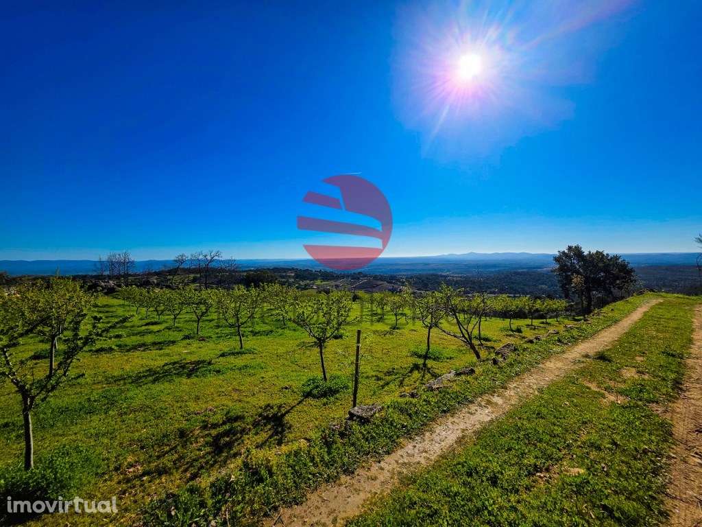 QUINTINHA - Grande imagem: 3/16