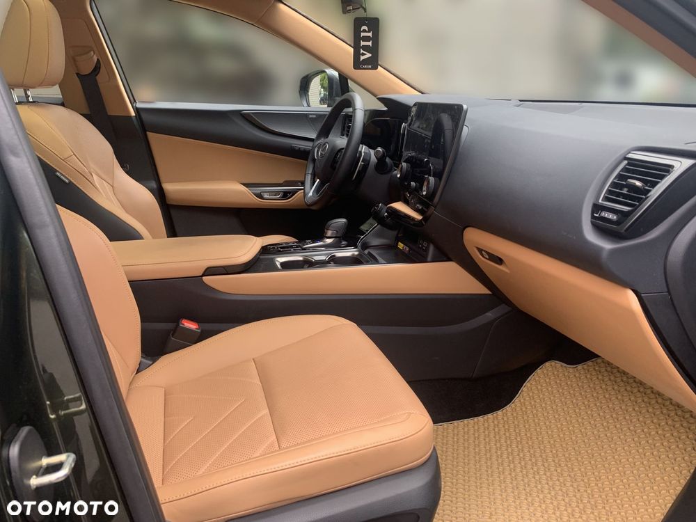 Lexus NX - 24