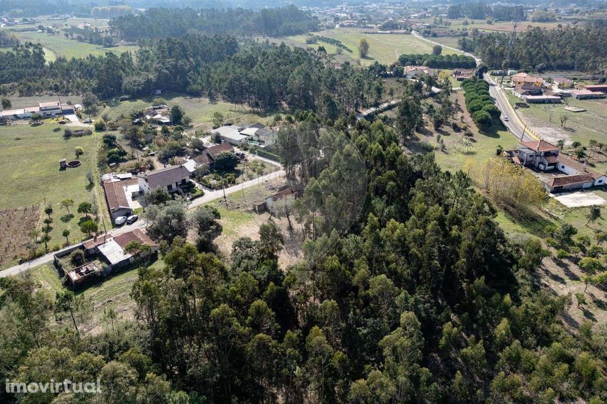 Terreno  para venda - Grande imagem: 5/5