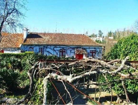 Quintinha a 20 minutos do porto - Grande imagem: 3/7