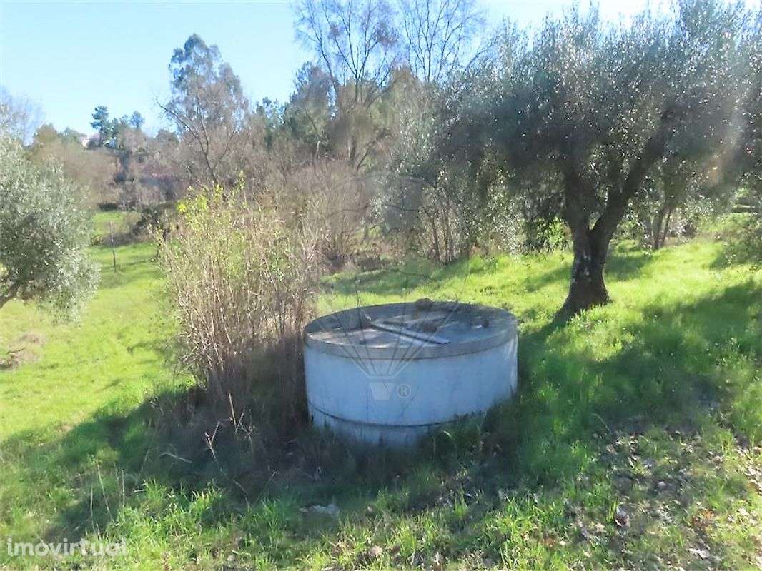 Quinta  para venda - Grande imagem: 4/36