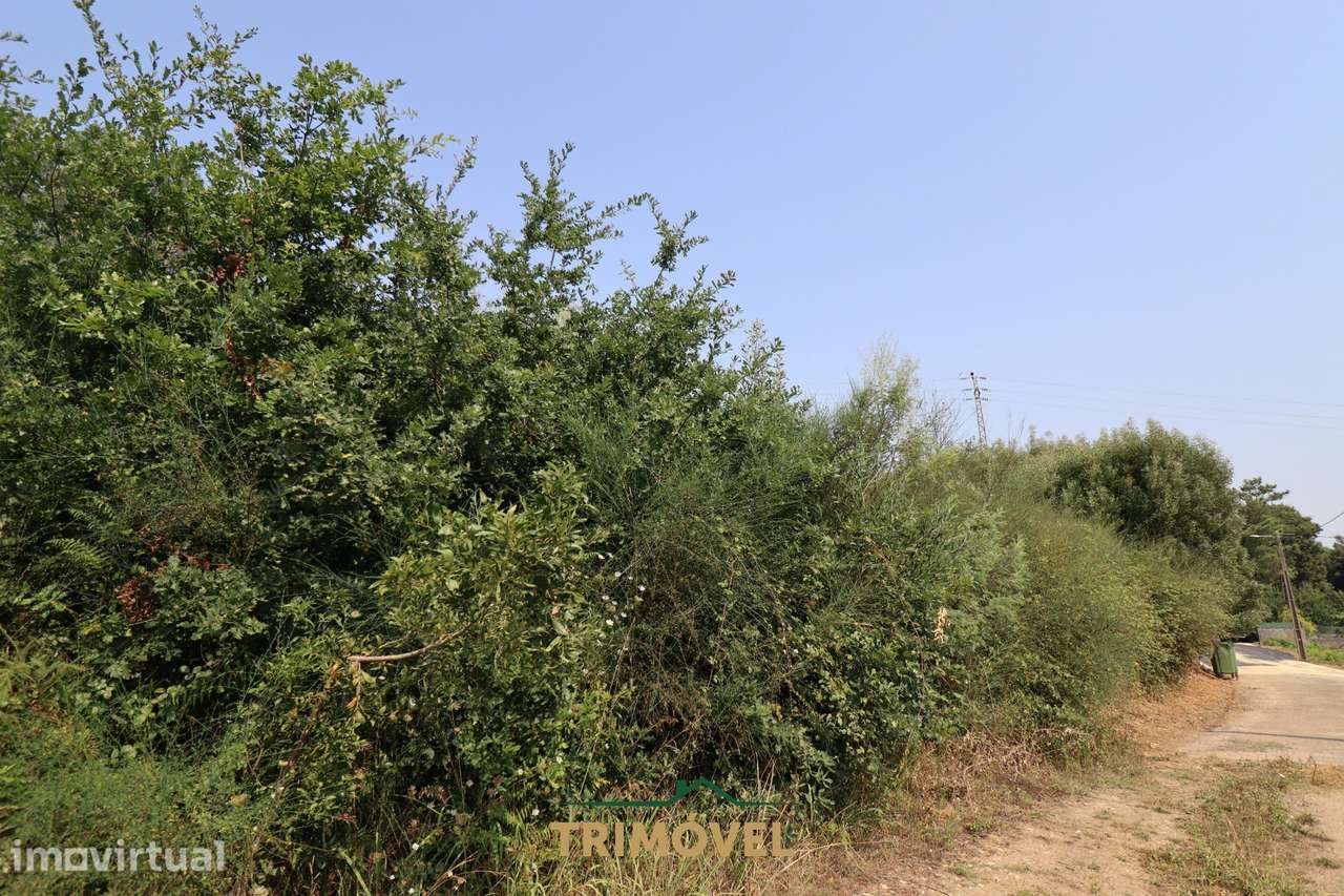 Terreno Para Construção  Venda em Vila de Cucujães,Oliveira de Azeméis - Grande imagem: 4/9