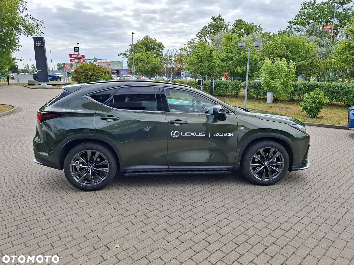 Lexus NX - 6