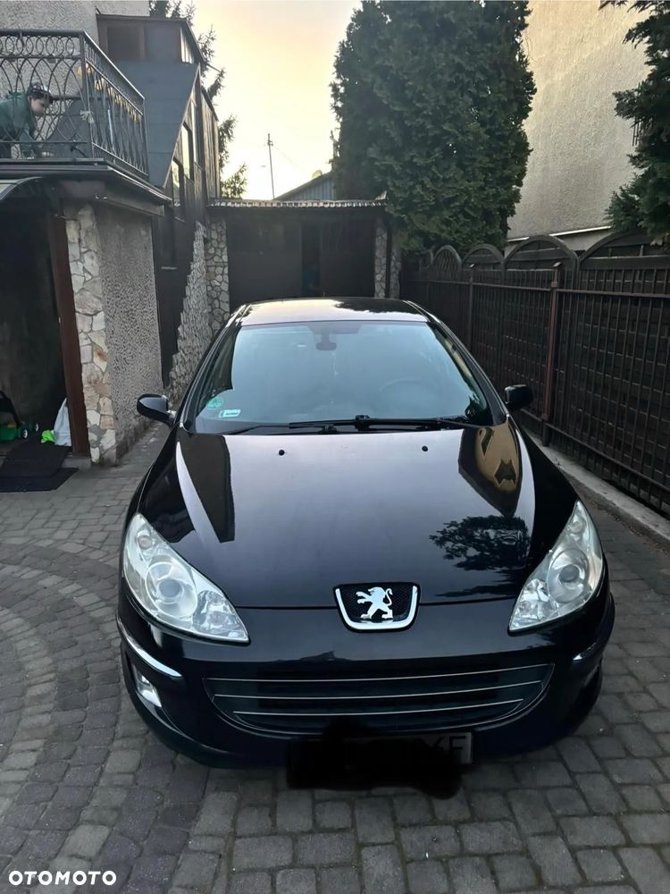 Peugeot 407 - 4