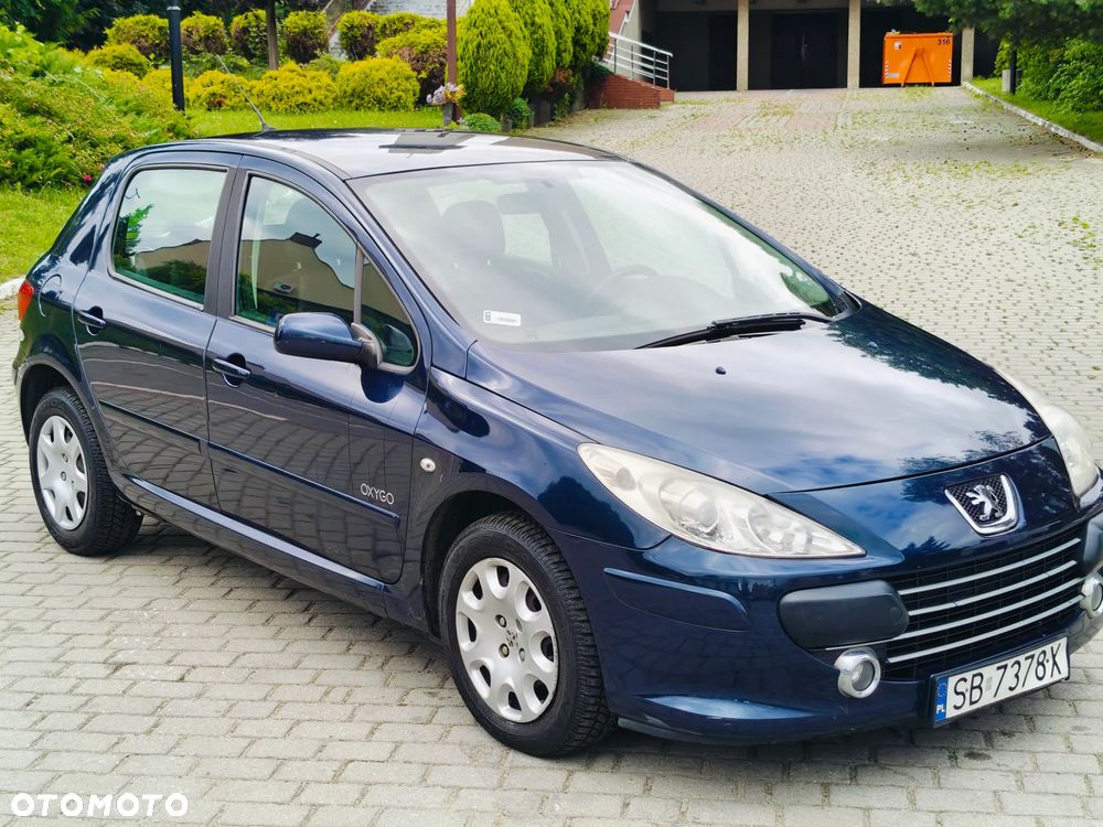 Peugeot 307 HDi 90 Grand Filou Cool - 14