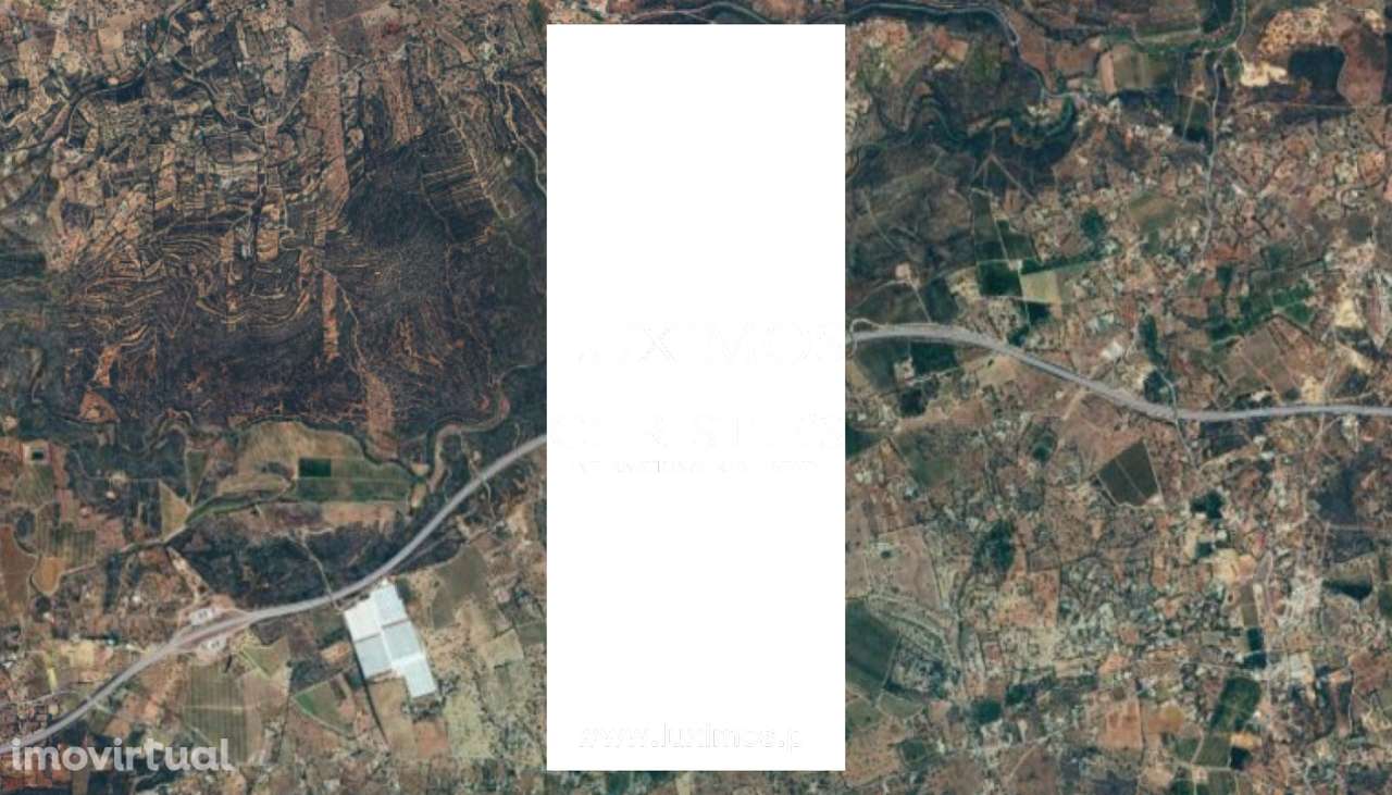 Amplo terreno, para venda em Tavira, Algarve - Grande imagem: 2/3