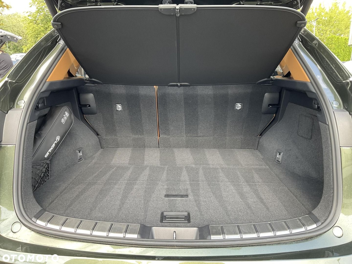 Lexus NX - 34