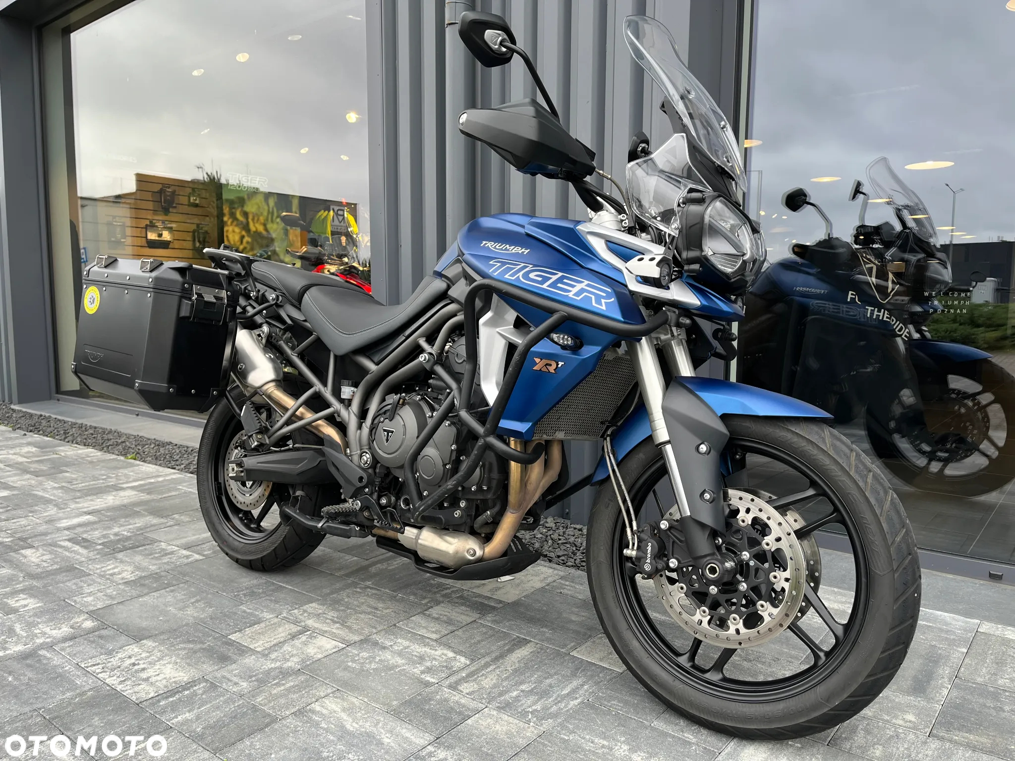 Triumph Tiger
