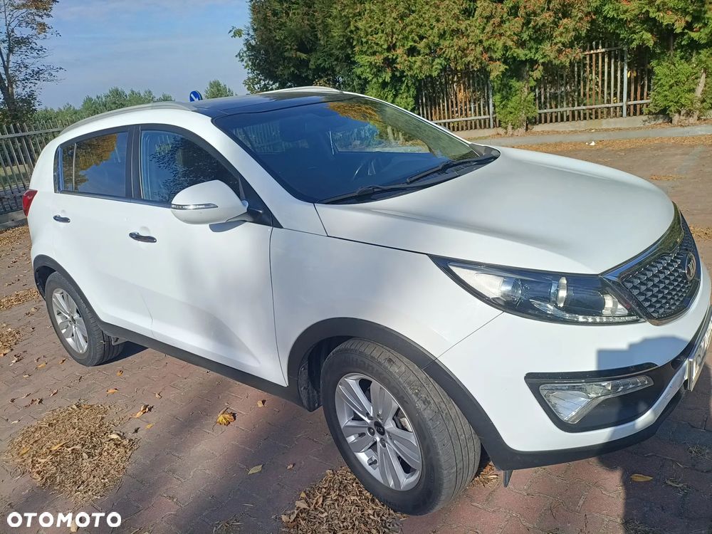 Kia Sportage - 3