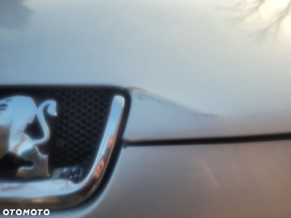 Peugeot 407 HDi 135 - 30
