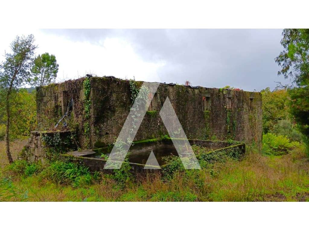 Quinta para reconstrução para viver, descansar ou para investir no ... - Grande imagem: 5/16