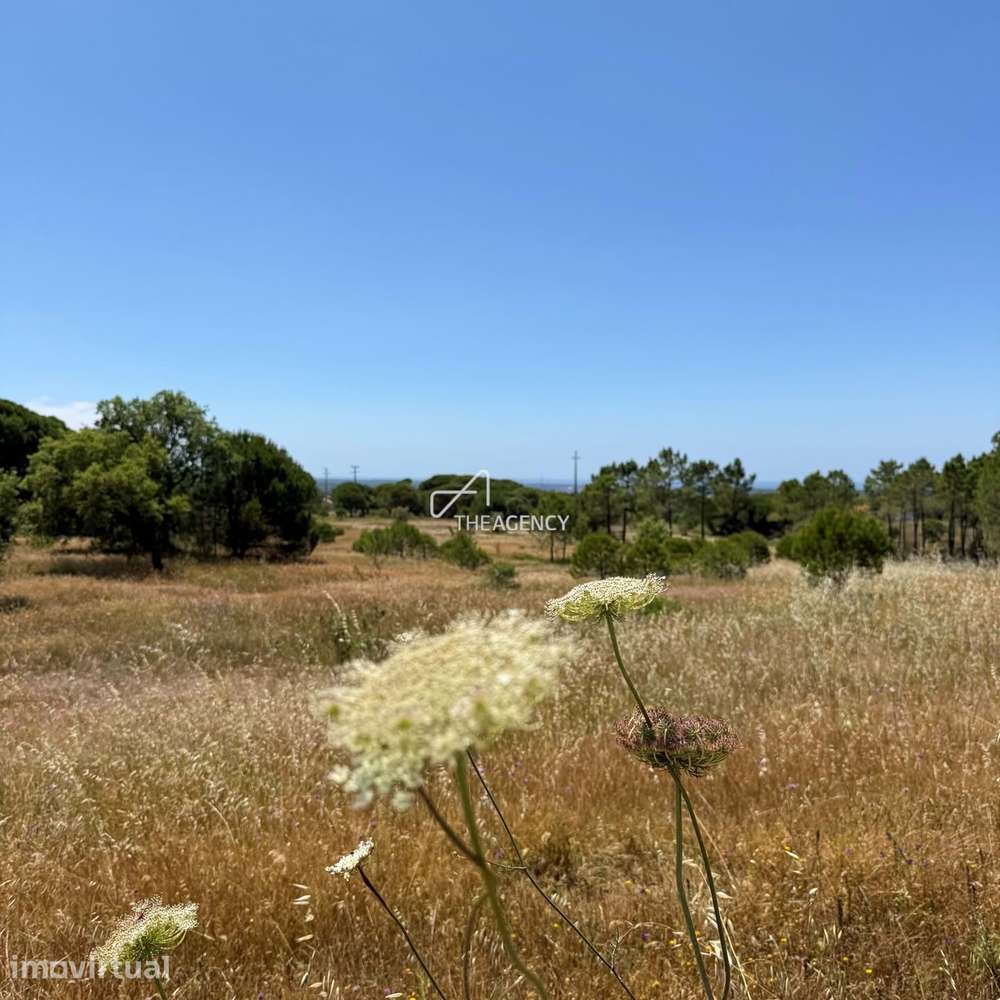Terreno de 3,9 Hectares com Projeto Aprovado em Melides, perto da Comp - Grande imagem: 3/18