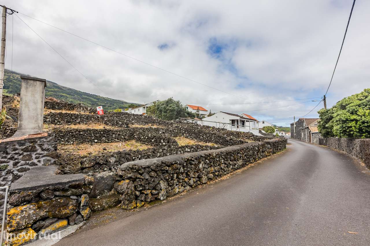 Terreno Rústico - Ilha do Pico - Grande imagem: 4/7
