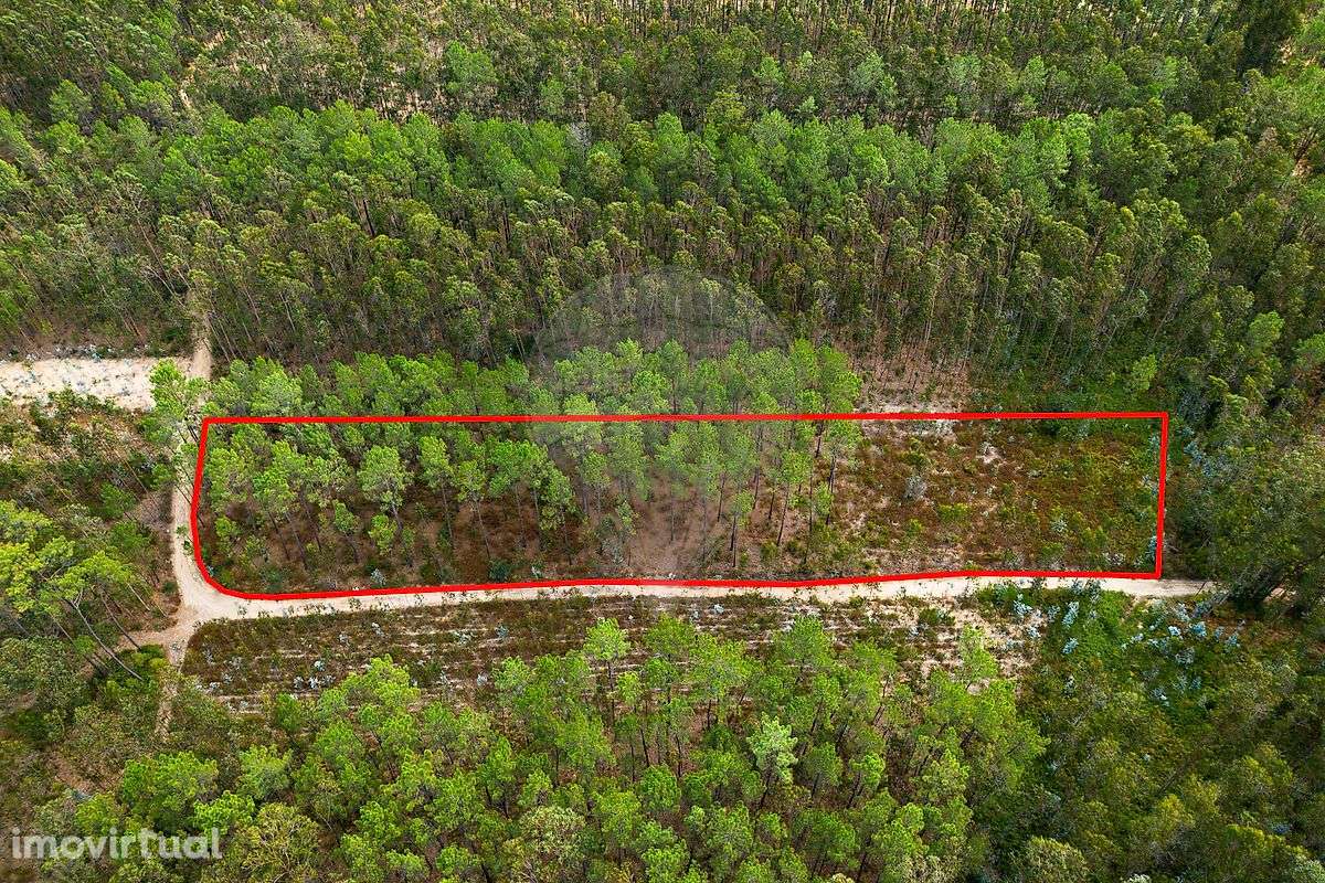 Terreno  para venda - Grande imagem: 2/9