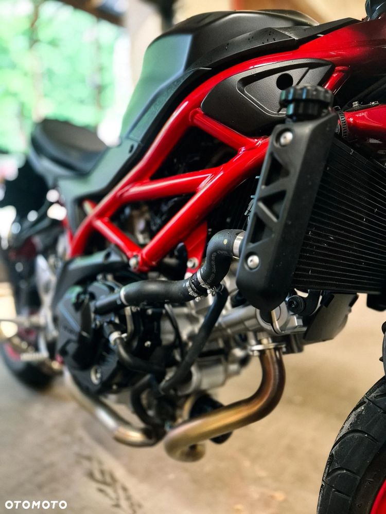 Suzuki SV - 12