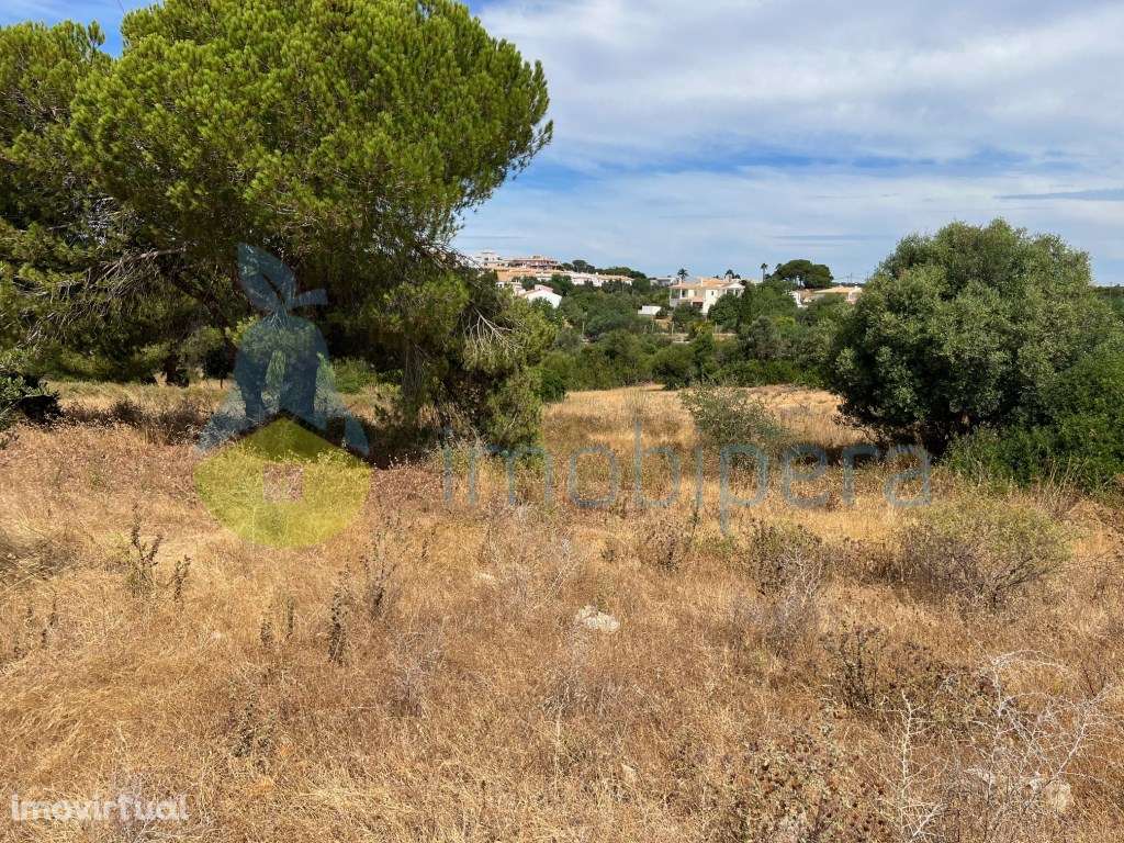 TERRENO AMPLO COM POÇO-BOAS VISTAS E PINHEIROS A 4KM DA PRAIA - Grande imagem: 3/35