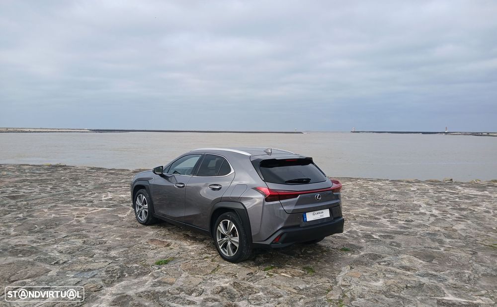 Lexus UX 300e Luxury - 5