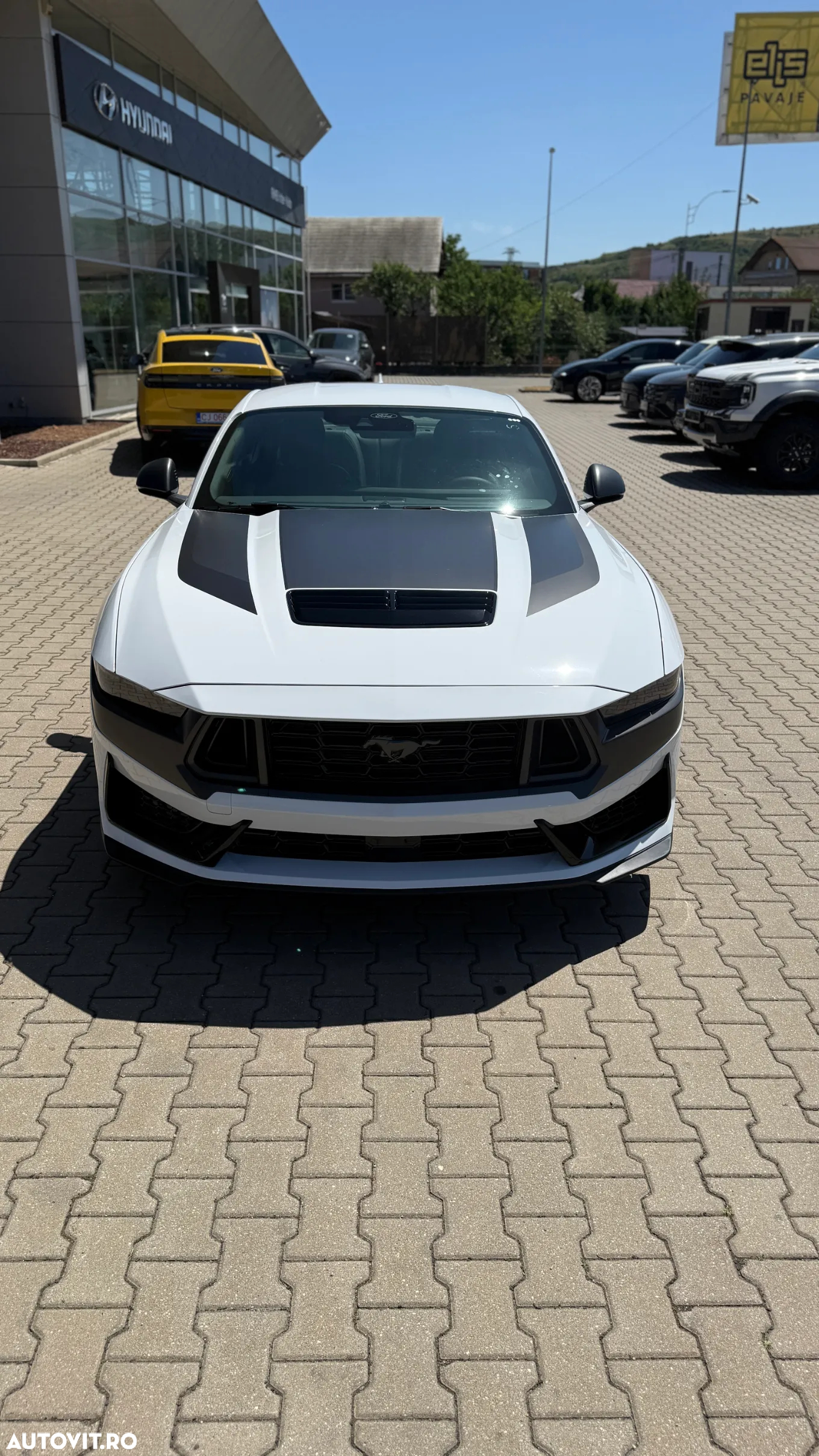 Ford Mustang 5.0 V8 Aut. Dark Horse - 10