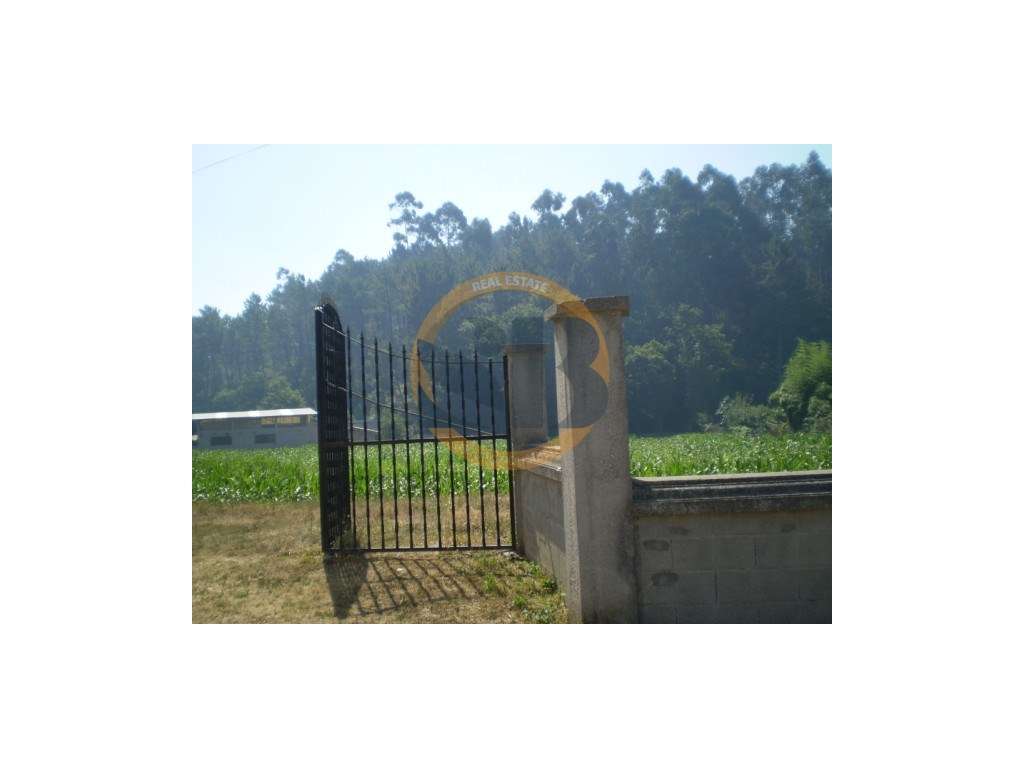 Terreno São João de Vêr - Grande imagem: 5/10