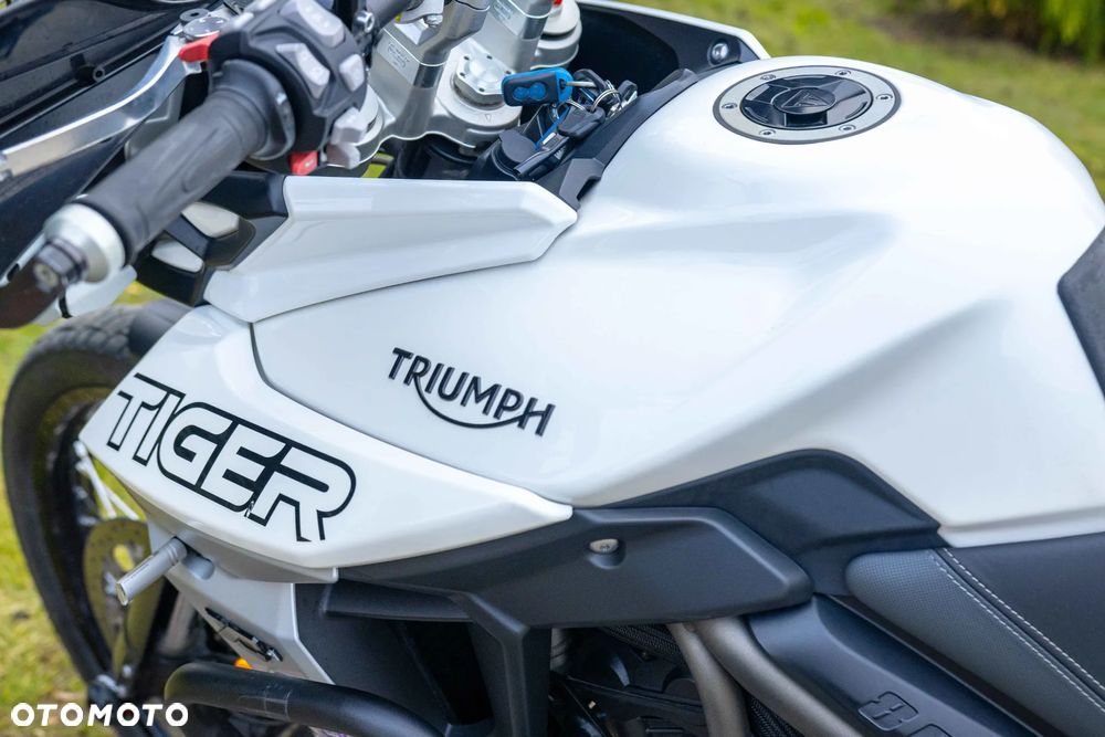 Triumph Tiger - 14
