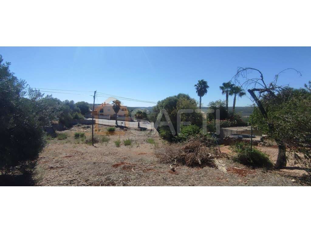 Excelente terreno para construção e investimento - Grande imagem: 4/5