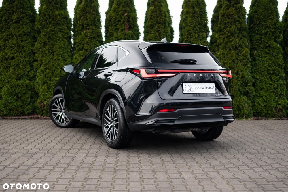 Lexus NX - 6