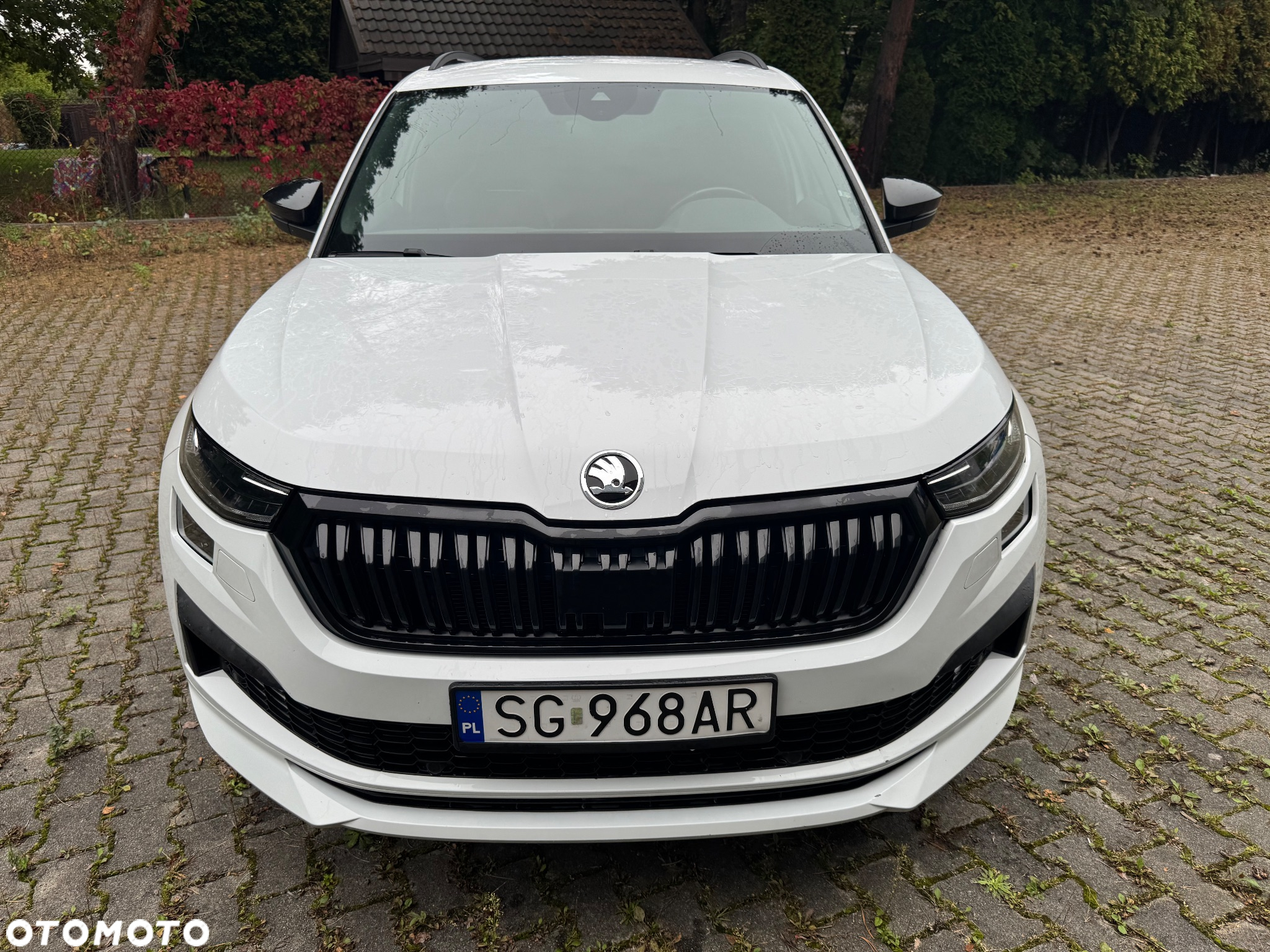Skoda Kodiaq 2.0 TDI 4x4 Sportline DSG - 4