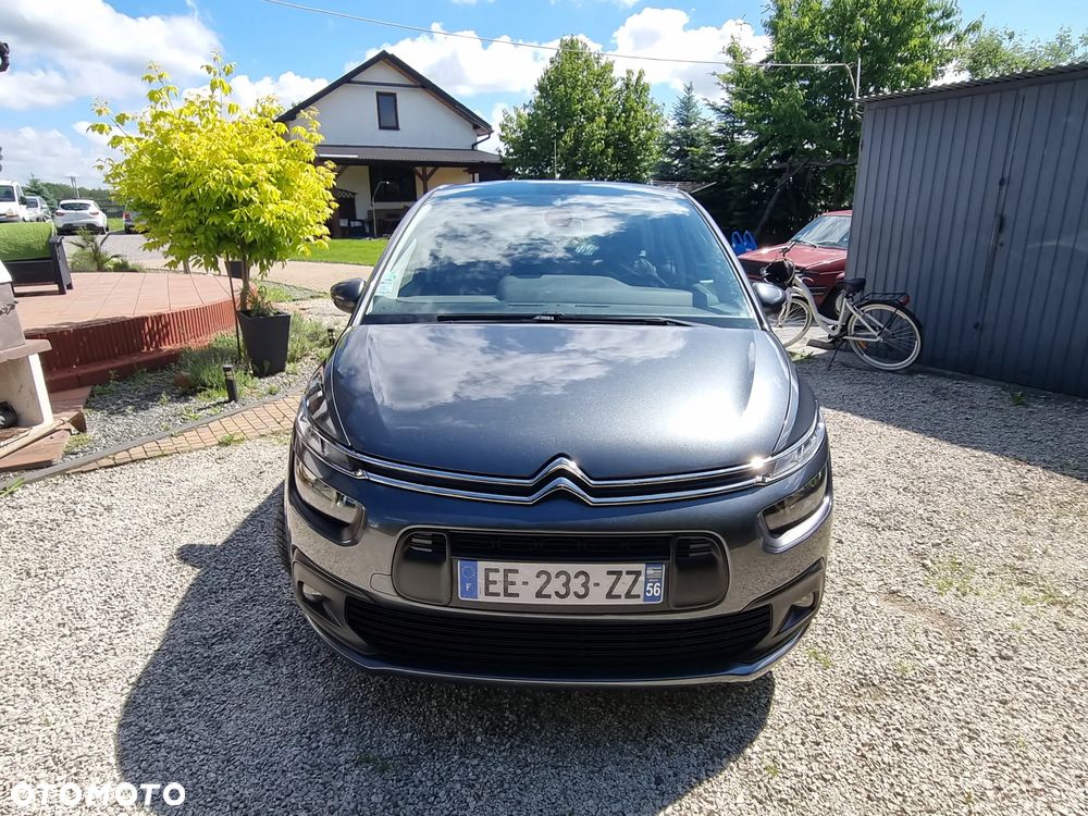 Citroën C4 Picasso 1.6 BlueHDi Shine S&S - 7