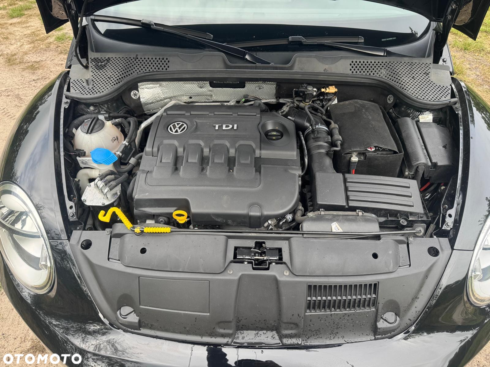 Volkswagen Beetle The Cabriolet 2.0 TDI BlueMotion Technology Design - 25