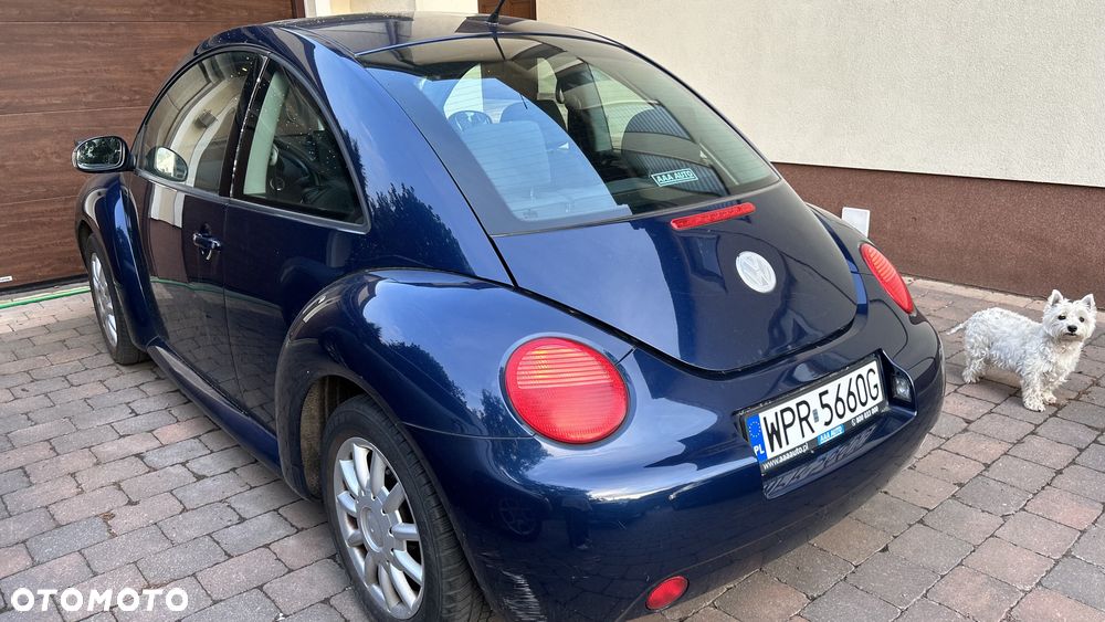 Volkswagen New Beetle - 6