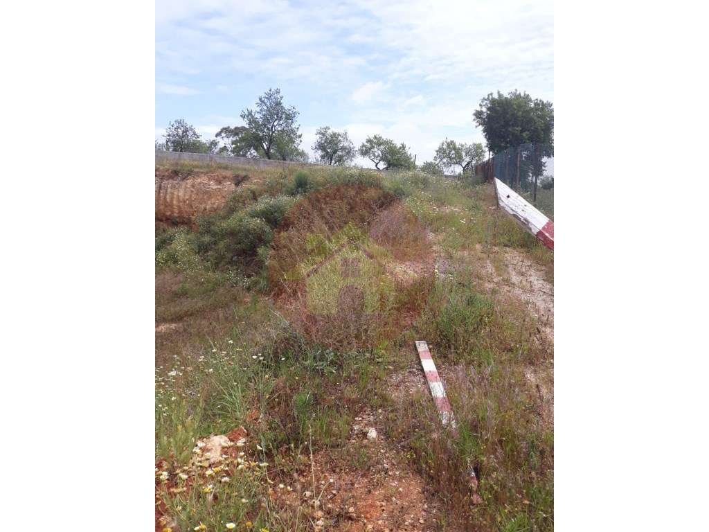 Lote de Terreno para Venda no Calvário, Lagoa - Grande imagem: 3/10