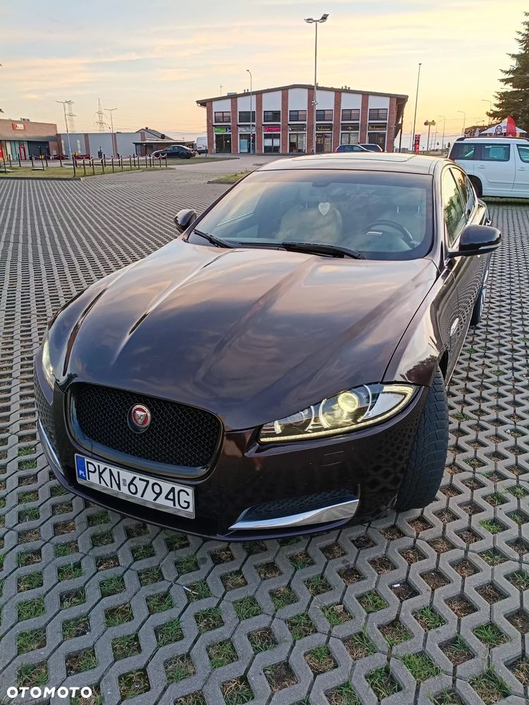 Jaguar XF 2.2 D Premium Luxury - 3