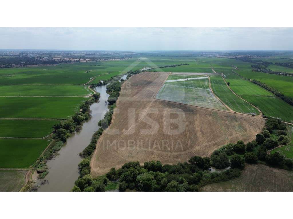 Terreno de 9,5 ha em Benavente - Grande imagem: 4/6