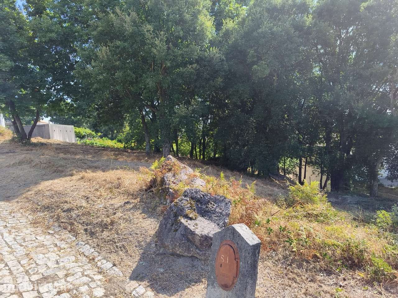 Vende Terreno Besteiros Paredes - Grande imagem: 4/5