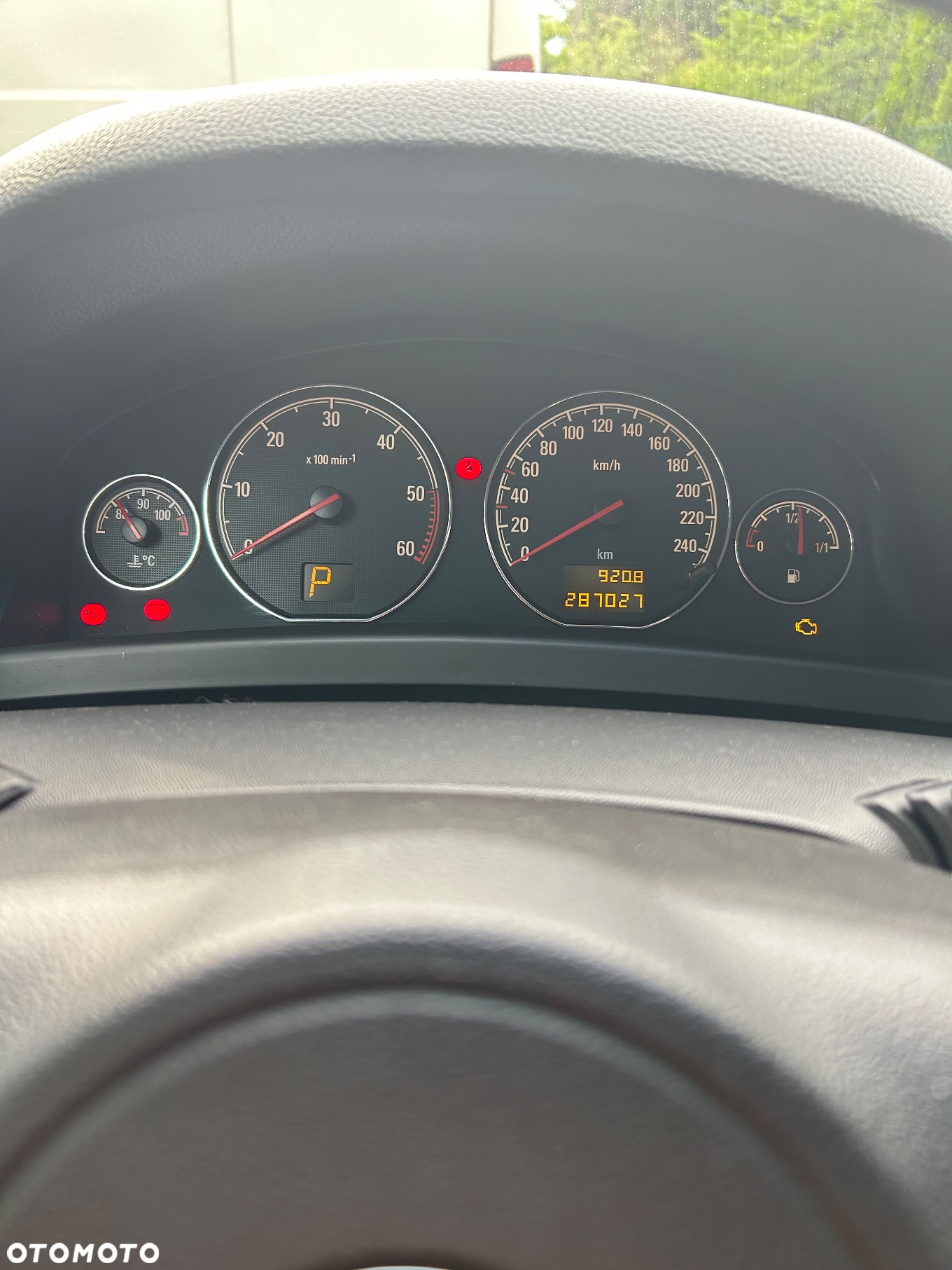 Opel Signum - 13