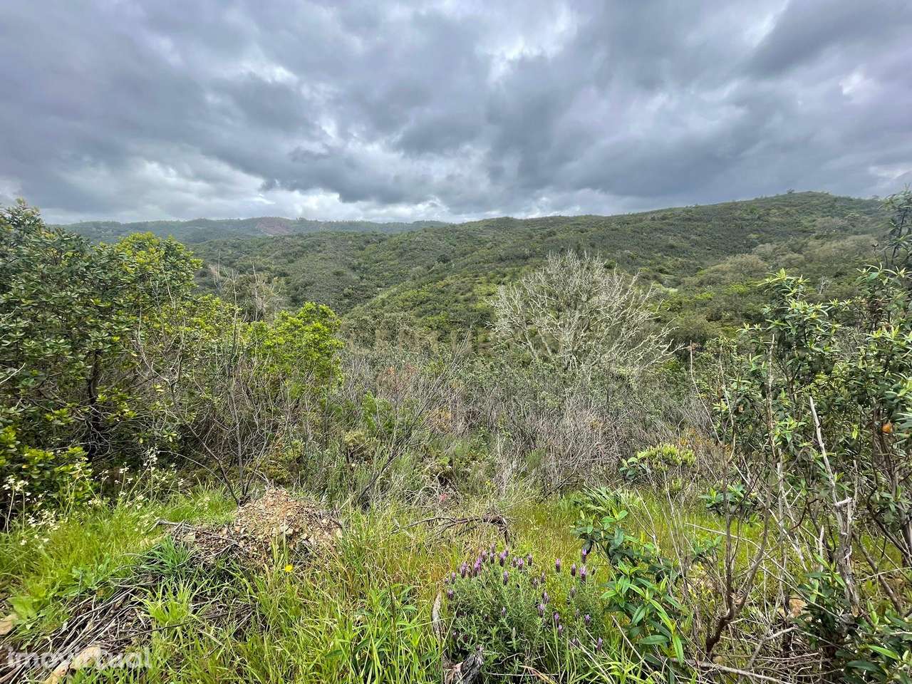 Terreno Rústico com 27885m2 - São Barnabé - Grande imagem: 2/10