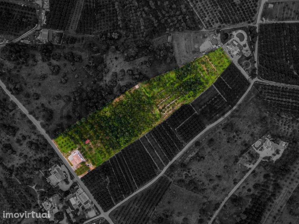 Moradia T3 com Pomar de citrinos no concelho de Silves - Grande imagem: 2/36