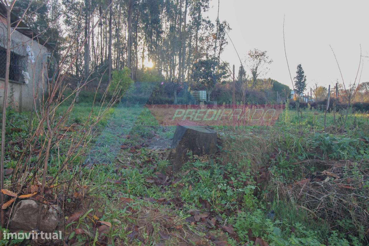 Terreno Agrícola com 3 artigos em Moure, Vila Verde! - Grande imagem: 4/8