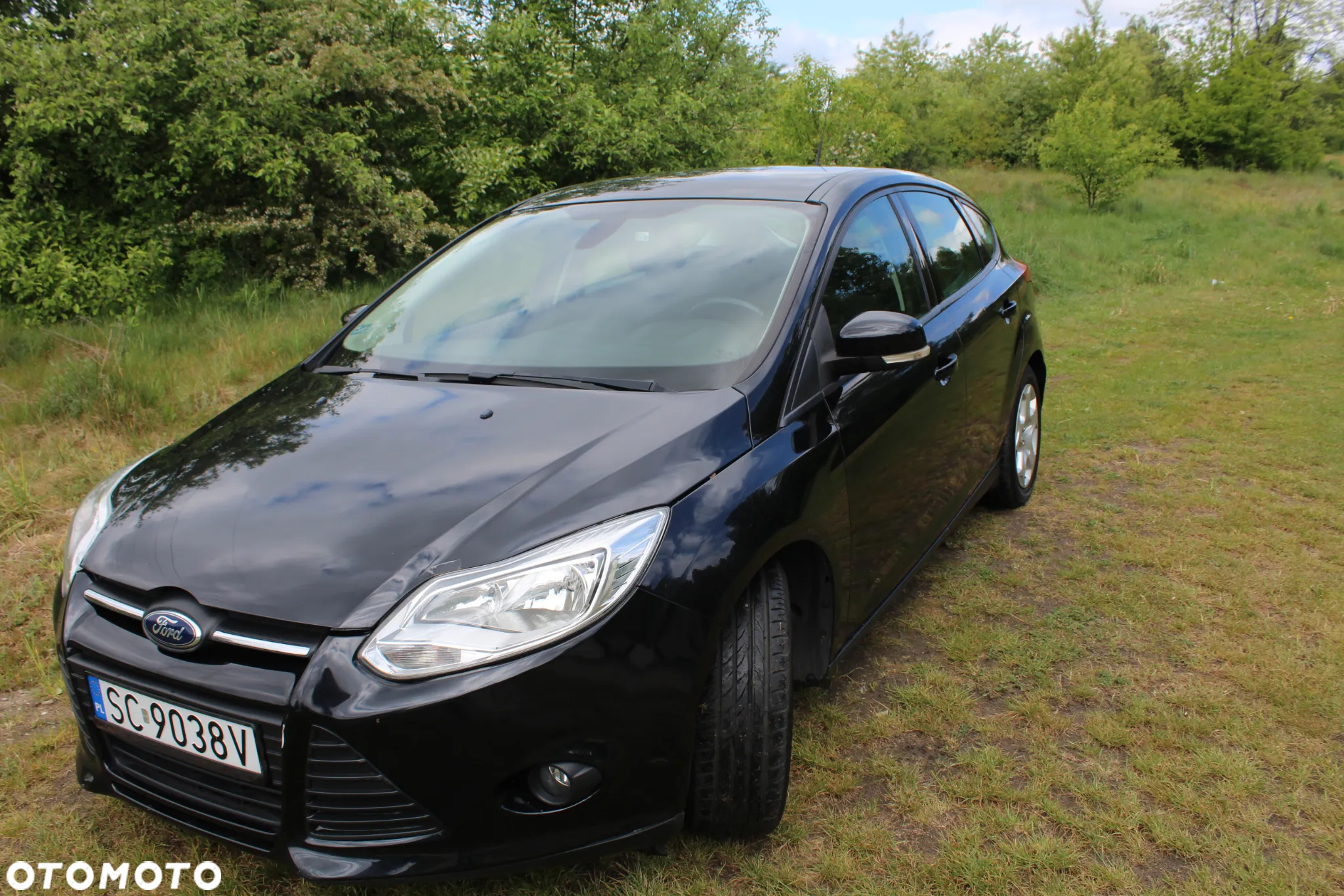 Ford Focus - 5