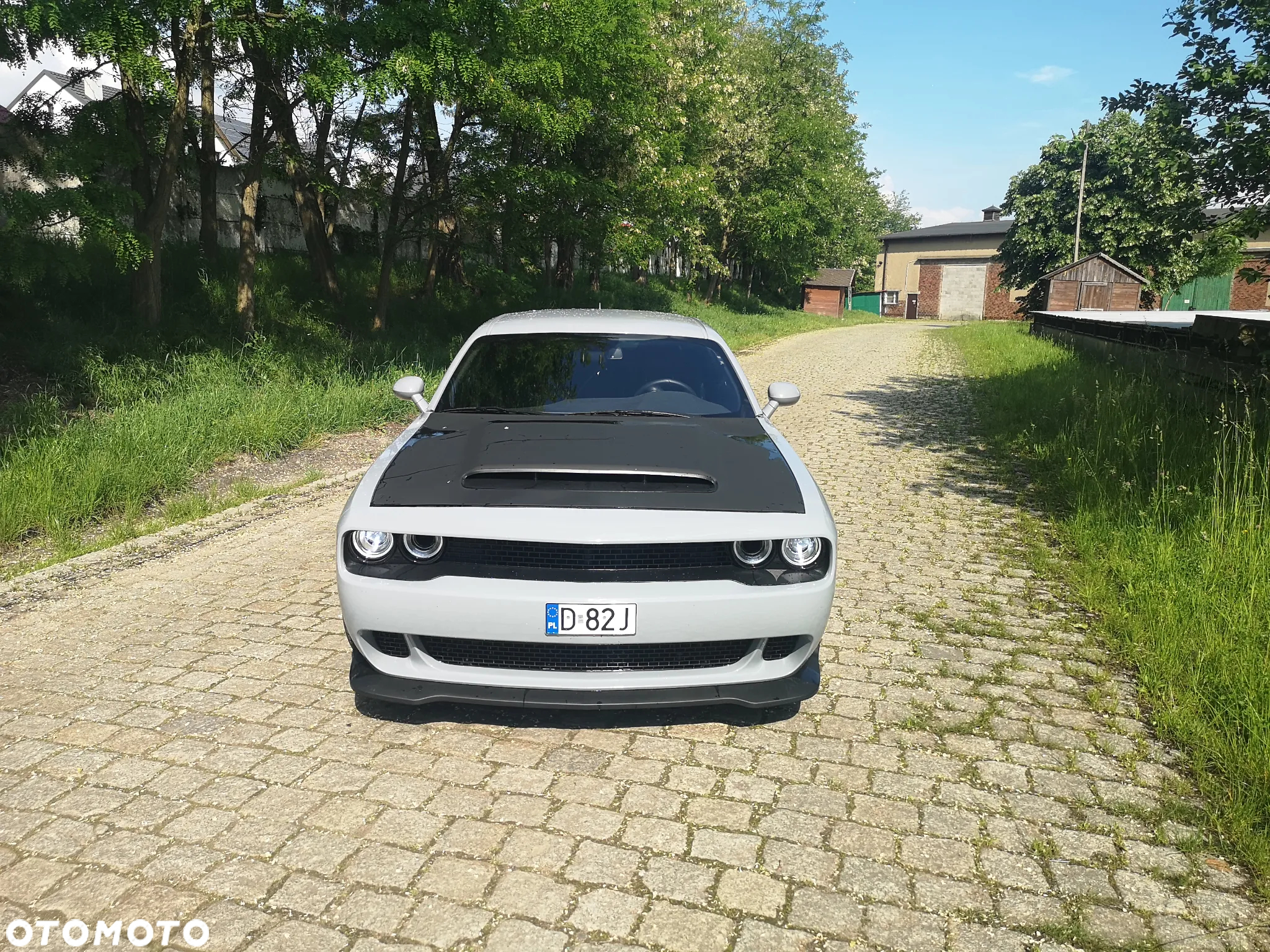 Dodge Challenger - 13