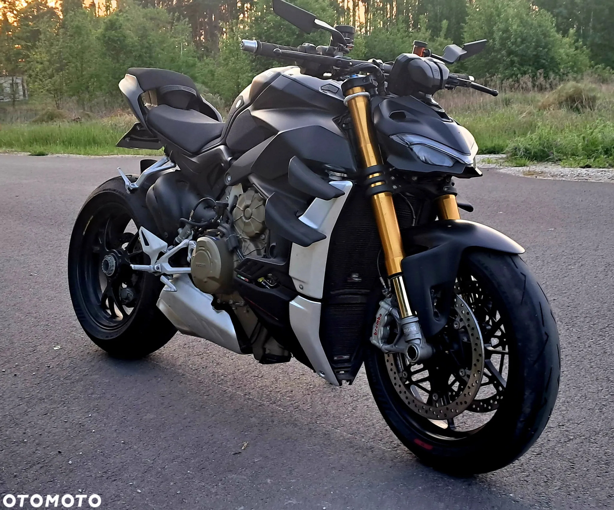 Ducati Streetfighter V4 - 5