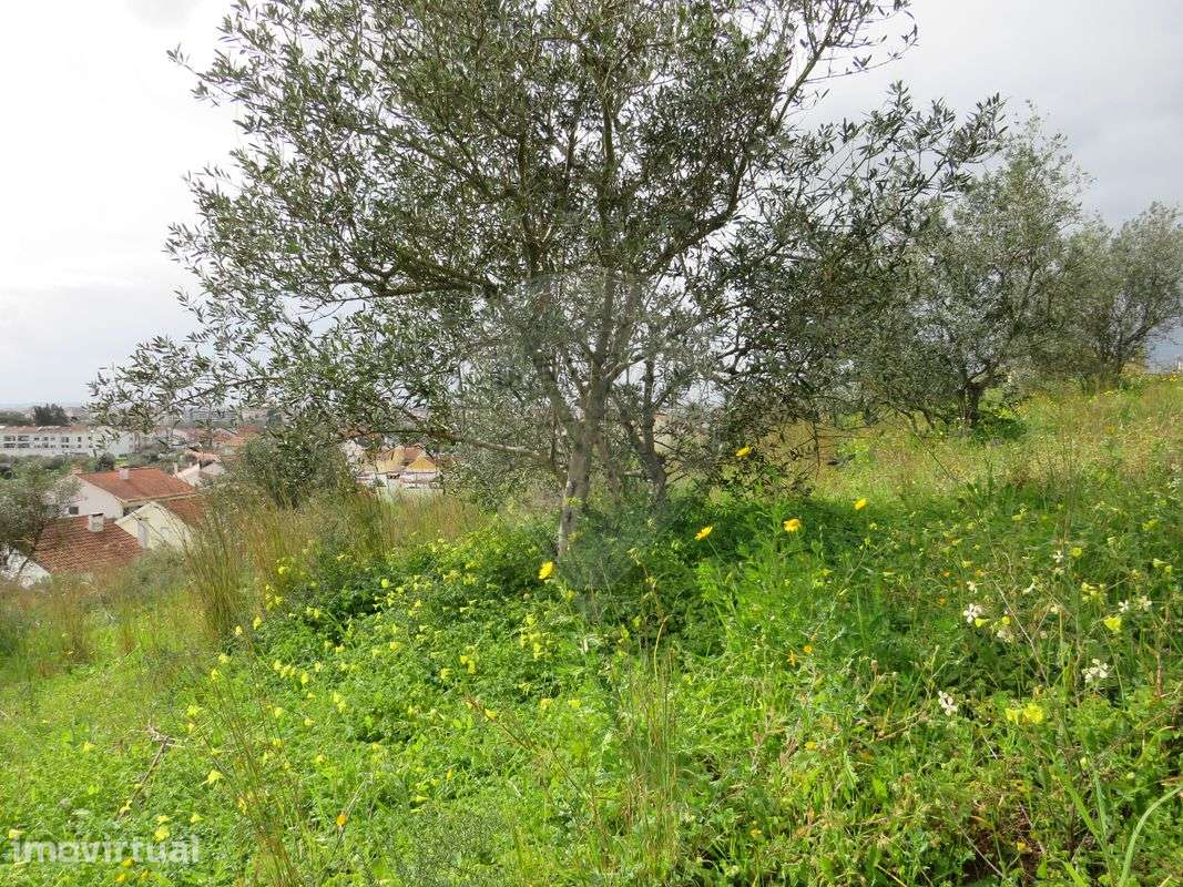Terreno  para venda - Grande imagem: 5/7